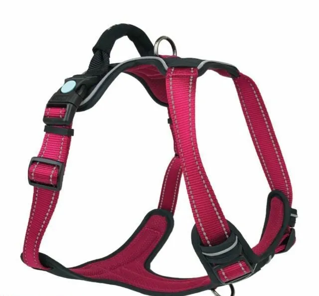 HARNESS HUSKIMO ULTIMATE ULURU XL