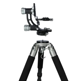 Lion Rock Gimbal L Stativ