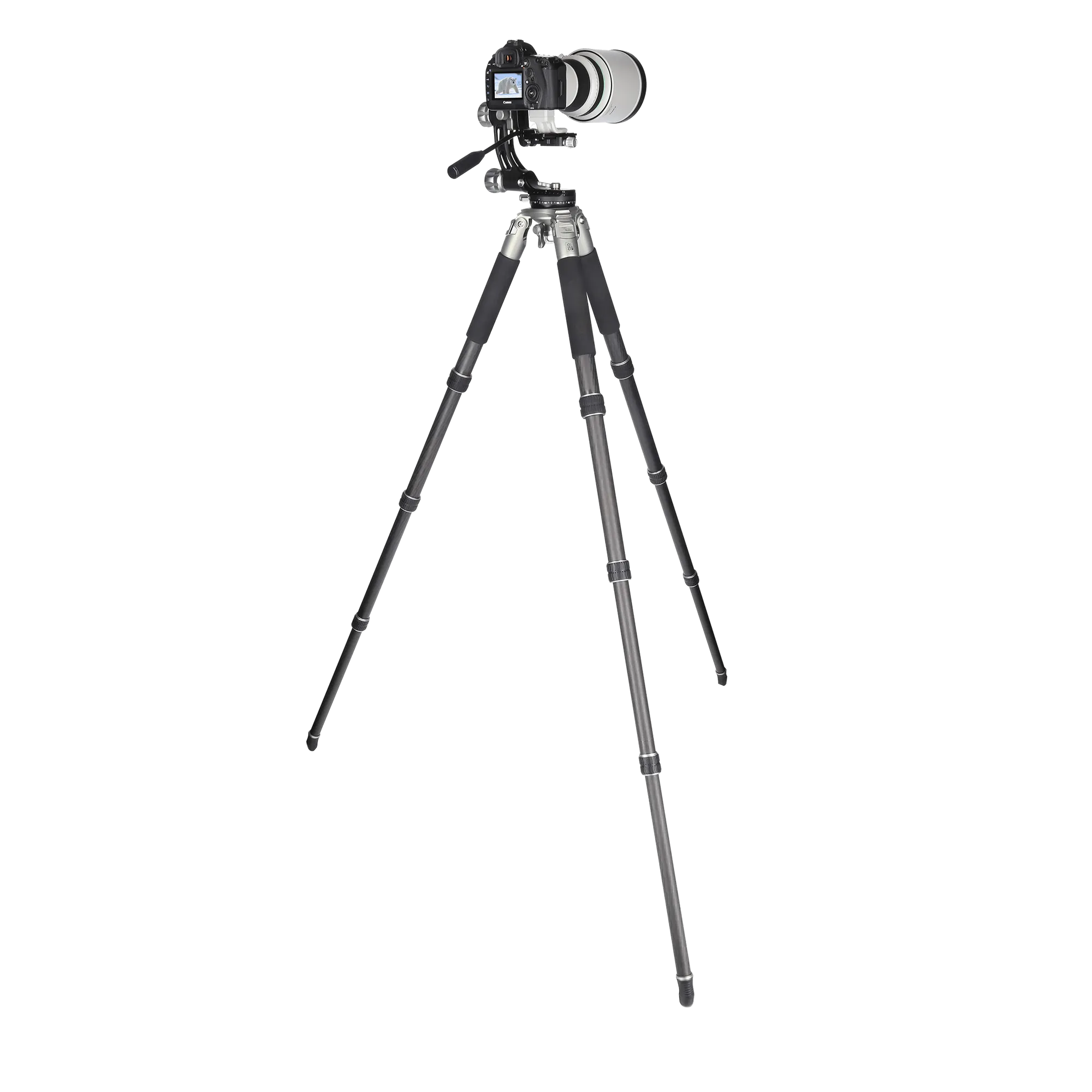 Lion Rock Gimbal L Stativ