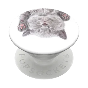 PopSockets Cat Nap