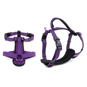 PREMIUM HARNESS 25MM X 65-80CM PURPLE LARGE