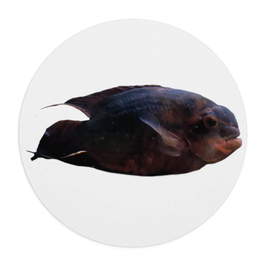 Red Black Fish Mouse Pad